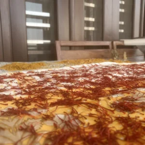 Saffron stigmas drying after harvest
