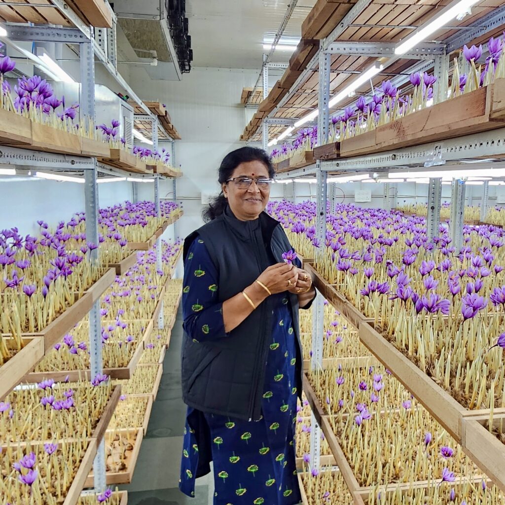 Shubha Bhatnagar holding a saffron crocus in Shubhavni's aeroponic growing room, Mainpuri
