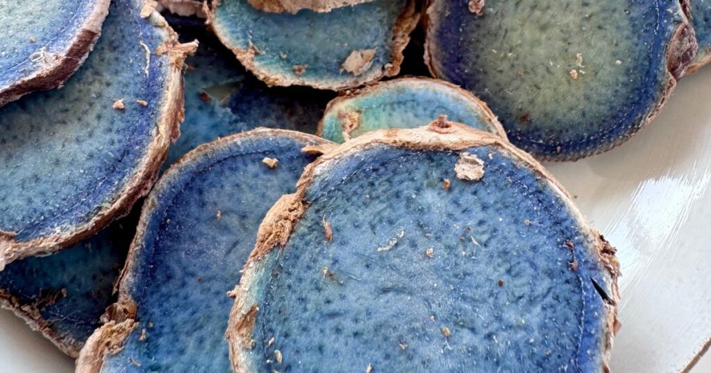 Sliced dried kali haldi rhizome from Meghalaya showing its blue flesh
